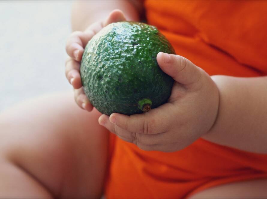 Enfant tenant un avocat, symbolisant l’alimentation et les besoins pris en compte dans la pension alimentaire.